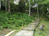 Tangga menuju bunker (Bonauli/detikTravel)