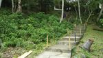 Bukannya Mistis, Bunker Jepang Ini Malah Memesona