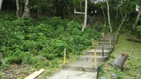 Untuk menjelajahi bukit ini, kamu harus naik sekitar 30 anak tangga (Bonauli/detikTravel)