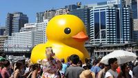 Bebek karet di Sydney