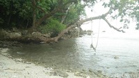 Dahan mangrove yang cukup panjang diikat dengan tali dan dibuatkan ayunan. Sembari berayun, ujung-ujung kaki akan membelah ombak yang datang (Bonauli/detikTravel)