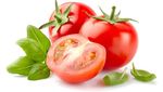 Cegah Kerut Halus di Kulit dengan Konsumsi 10 Makanan Enak Ini