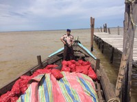 Ada Bawang Merah Palsu Masuk RI, Seperti Apa Sih?
