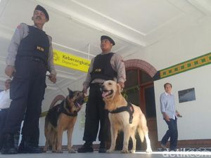 PT KAI Daop 4 Siagakan Anjing Pelacak Selama Angkutan Lebaran 2017