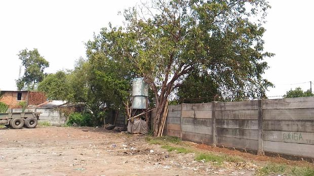 Lokasi monyet menyerang warga Cilincing