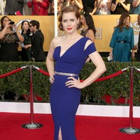 Amy Adams attends the 20th Annual Screen Actors Guild Awards at The Shrine Auditorium on January 18, 2014 in Los Angeles, California.  (Photo by Frederick M. Brown/Getty Images)