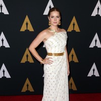 Amy Adams attends the Academy of Motion Picture Arts and Sciences 8th annual Governors Awards at The Ray Dolby Ballroom at Hollywood & Highland Center on November 12, 2016 in Hollywood, California.  (Photo by Frederick M. Brown/Getty Images)