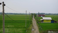 Membahas pemandangan dari tol-tol baru ini bagus juga lho. Meneduhkan, karena di sepanjang perjalanan keluar dari Tol Cipali adalah ladang dengan berlatar pegunungan (Masaul/detikTravel)