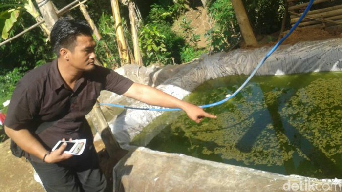 Lepas dari Pengawasan, Bocah 1,7 Tahun Tewas Tercebur Kolam Ikan