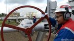 Menelusur Asal Muasal Uap Gas PLTP Ulubelu Menelusur Asal Muasal Uap Gas PLTP Ulubelu
