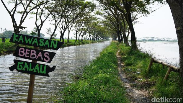 Mampir ke sini saat mudik, tapi jangan galau ya (Masaul/detikTravel)