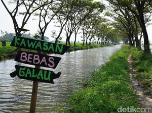 Mampir ke Kendal, Lihat Irigasi Indah dan Lumba-lumba