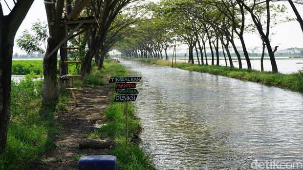 Dihiasi oleh Pohon Trembesi (Masaul/detikTravel)
