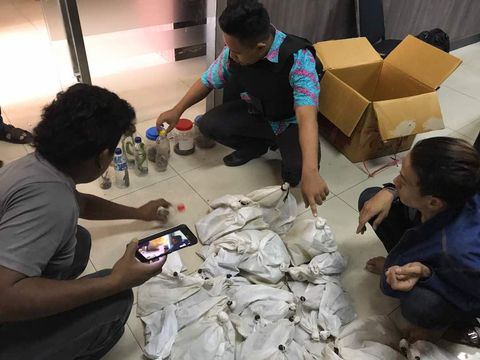 Bawa 192 Reptil, Mahasiswa Diamankan di Pelabuhan Priok