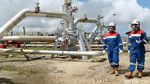 Menelusur Asal Muasal Uap Gas PLTP Ulubelu Menelusur Asal Muasal Uap Gas PLTP Ulubelu