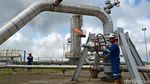 Menelusur Asal Muasal Uap Gas PLTP Ulubelu