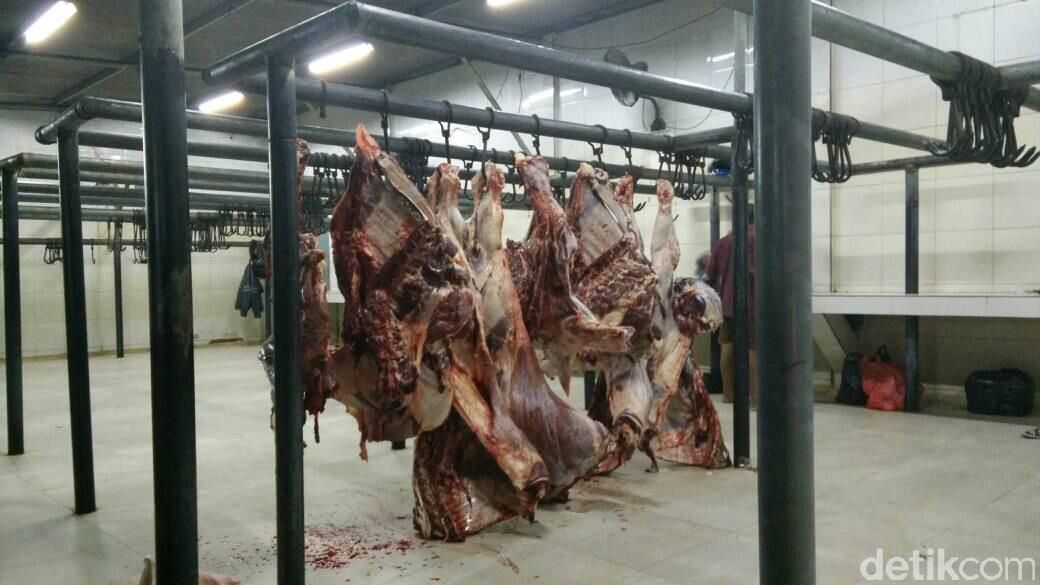 KPPU Sidak ke Pemotongan Sapi