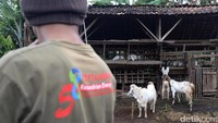 Selain pengembangan ternak lokal, PGE Ulubelu  melalui program CSR menyokong ekonomi masyarakat seperti peningkatan jalan provinsi sepanjang 20 km, penyediaan air bersih, budidaya peternakan  ikan air tawar serta penyediaan fasilitas kesehatan dan pendidikan.