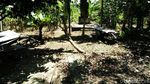 Potret Tembok Eksekusi di Sabang