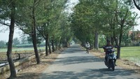 Namun begitu, pemandangan khas pedesaan akan didapatkan. Terdapat pula jalanan yang kurang baik saat akan memasuki destinasi (Masaul/detikTravel)
