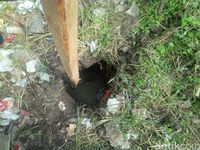 Bak Shawshank Redemption, 4 Napi WNA Gali Terowongan Pakai Garpu