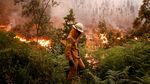 Kebakaran Hutan di Portugal Menewaskan 62 Orang