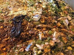 Warga Australia Kian Banyak Buang Makanan