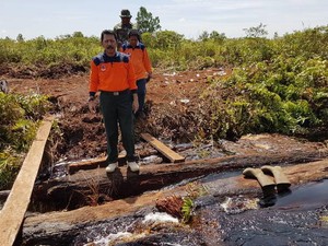Hutan dan Lahan Terbakar di Riau Mencapai 549 Hektare
