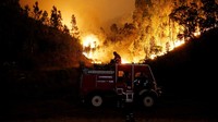 Gomes juga menyampaikan sekitar 1.700 petugas Damkar dikerahkan di 60 titik kebakaran hutan yang terjadi di seluruh negeri dalam semalam. Sebuah Media Portugal, surat kabar Correio do Manhã, melaporkan ada ratusan mobil pemadam kebakaran yang dikerahkan, sehingga api tidak lagi mendekat ke arah permukiman warga. REUTERS/Rafael Marchante.