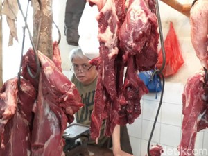 1.000 Sapi NTT Masuk ke Jakarta untuk Kebutuhan Lebaran