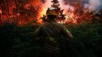 Kebakaran Hutan di Portugal Menewaskan 62 Orang