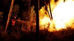 Kebakaran Hutan di Portugal Menewaskan 62 Orang