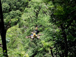 Cuma di Thailand, Bisa Bergelantungan Bebas Seperti Hanoman