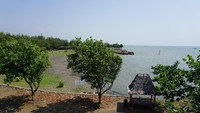 Pantai Cahaya sendiri seperti pantai utara kebanyakan yang berwarna coklat agak gelap. Pasirnya pun berwarna hitam namun terlihat bersih untuk sekadar bermain (Masaul/detikTravel)