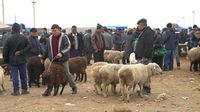 Rona Budaya Muslim Kazakhstan: Dari Fashion hingga Cara Minum Teh