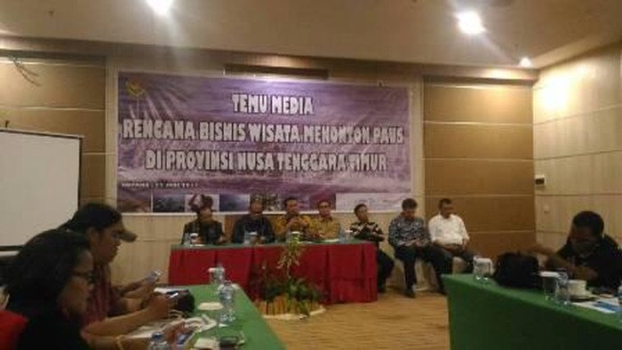 Pemprov NTT Kaji Prospek Wisata Nonton Paus di Lembata