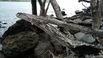 Mudik Lebaran, Ayo ke Pantai Tanpa Nama di Sabang