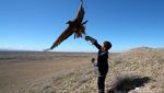 Tradisi Berburu dengan Elang di Kazakhstan