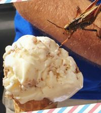 Nyam! Manis Gurih Pizza Dalam Es Krim