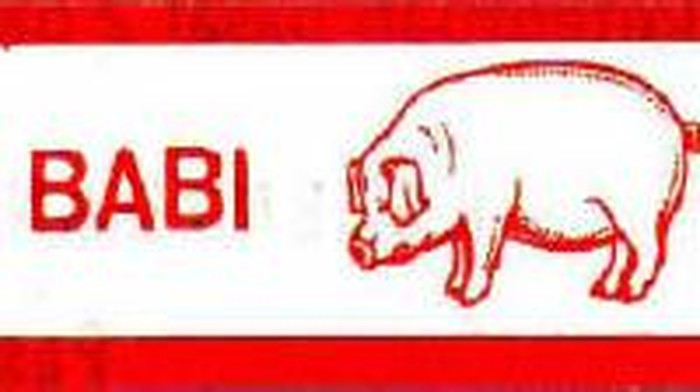 mengandung babi