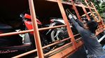 Kemenhub Kembali Selenggarakan Angkutan Motor Gratis