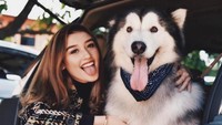Gadis berusia 18 tahun itupun merupakan seorang pecinta hewan, khususnya anjing. (Dok. Instagram/natasharyder)