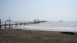 Mudik ke Tegal, Wajib ke Pantai Ini