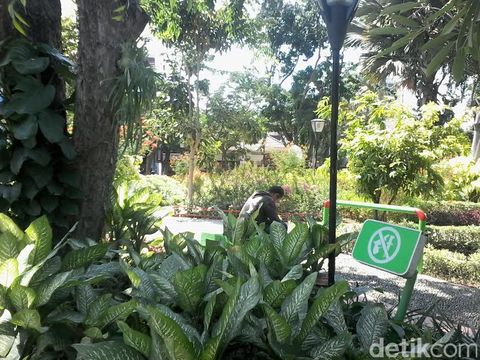 Taman Bungkul yang asri dan rindang