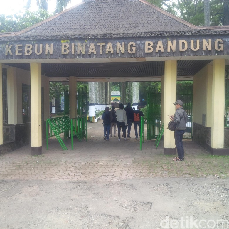 Libur Lebaran Harga Tiket Masuk Kebun Binatang Bandung  Naik