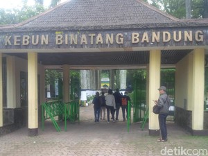 Libur Lebaran, Bunbin Bandung Hadirkan Parade Satwa dan Sirkus Mini