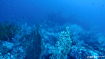 Mudik ke Sabang, Yuk Diving di Batee Tokong