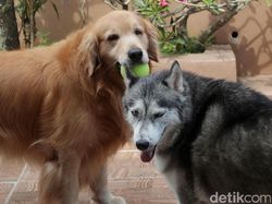 10 Penemuan Arkeologi Paling Aneh, Bikin Overthinking