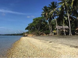 Ada Pulau Bernama Jokowi Island di Sulsel