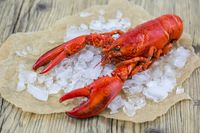 Sebelum Dimasak, Restoran Ini Sengaja Beri Lobsternya Asap Daun Ganja Bakar